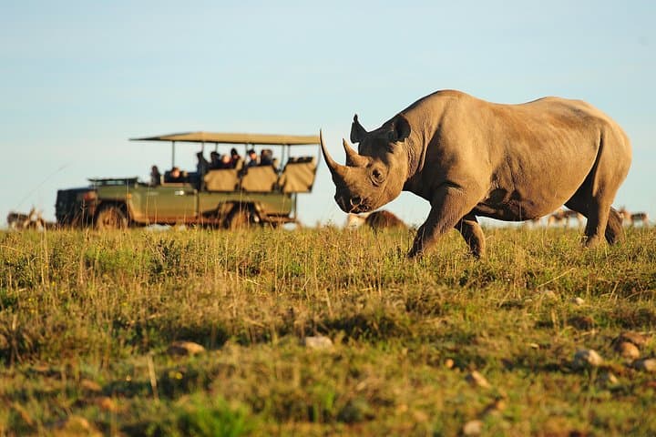 5-Day Garden Route Tour from Cape Town — Mossel Bay, Cango Caves & Tsitsikamma photo 1