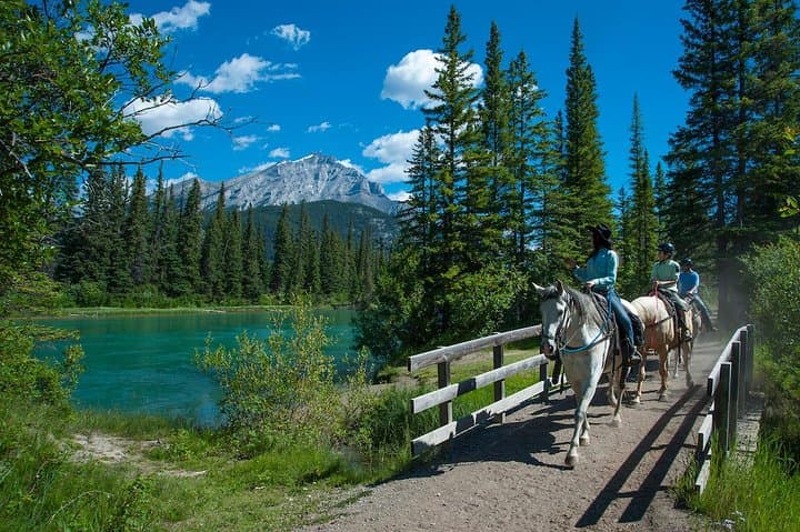 Explore Banff National Park on a 2-Hour Scenic Horseback Riding Tour photo 5