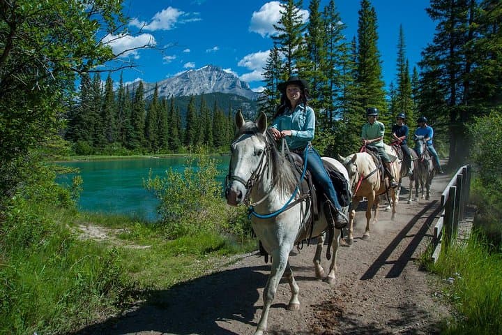 Exploring Banff National Park on a 1 Hour Bow River Horseback Ride