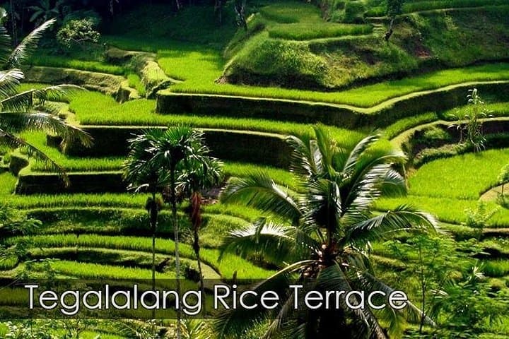 Custom Bali Private Tour: Best of Bali Tailor-Made Day Trips from Ubud photo 3