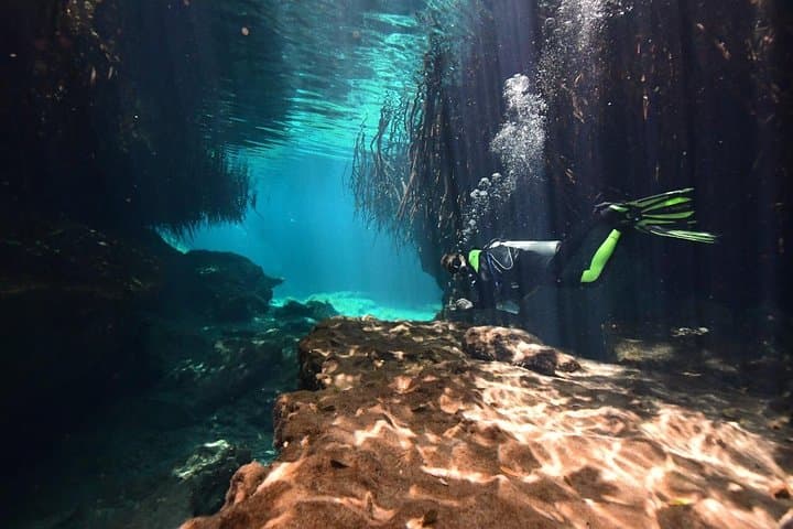 Discover Scuba Diving in Tulum: First Cenote Dive in a Mangrove Lagoon photo 3