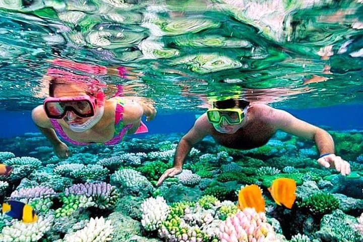 Snorkel Puerto Morelos Reef: Day Trip from Cancun with Lunch