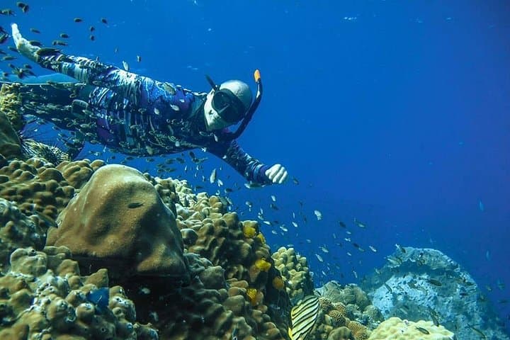 Advanced Freediver Course from Koh Chang — PADI 16–24m Freediving photo 3