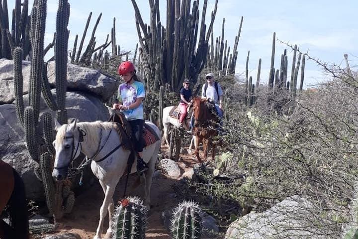 Private Sunset Horseback Ride in Aruba — Palm Beach Ranch Tour photo 4