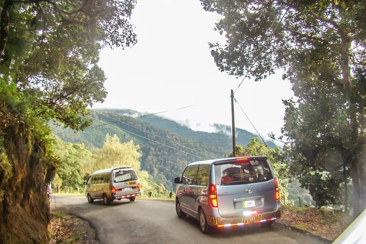 Private Transfer SJO to San Gerardo de Dota — Scenic 2.5-Hour Ride to the Savegre Cloud Forest