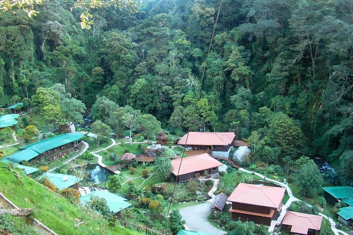 Private Transfer SJO to San Gerardo de Dota — Scenic 2.5-Hour Ride to the Savegre Cloud Forest photo 2