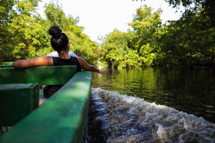 Sunset Caroni Wetlands Boat Tour — Scarlet Ibis & Mangrove Cruise
