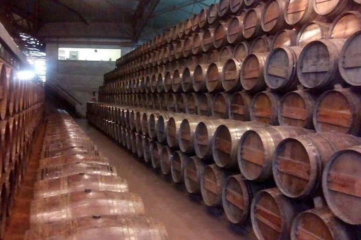 Arrabida Wine Tour from Lisbon: Private Full-Day Drive to Setúbal, Sesimbra & Bacalhoa photo 2