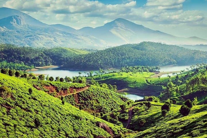 Best of Kerala: 8-Day Backwaters, Hills & Wildlife photo 2