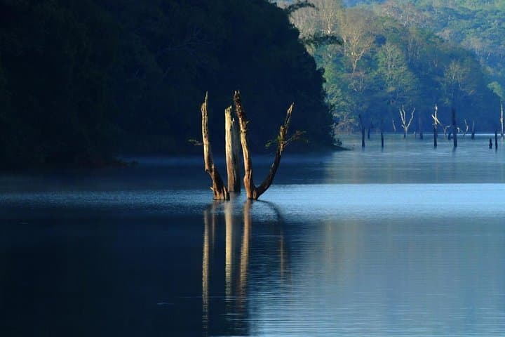Golden Triangle to Kerala: 13-Day India Cultural & Wildlife Tour photo 2