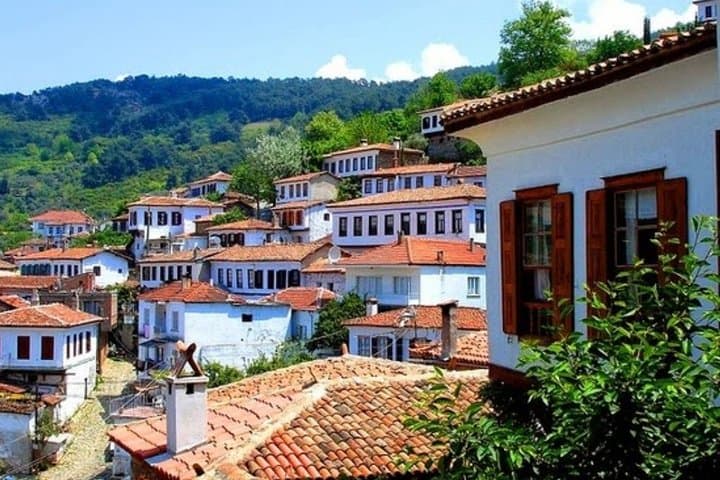 Private Ephesus & Sirince Day Tour from Izmir — Ancient Ruins to Village Life