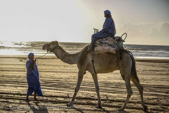 Essaouira Camel Ride & Beach Picnic: Forest Trails, Dunes, Atlantic Views