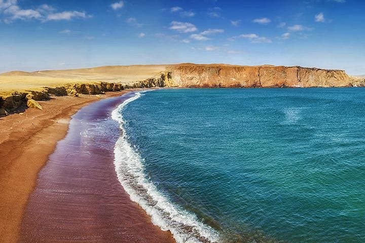 Paracas National Reserve Private Tour: Desert Cliffs, Coastal Wildlife & Local Fisheries photo 2