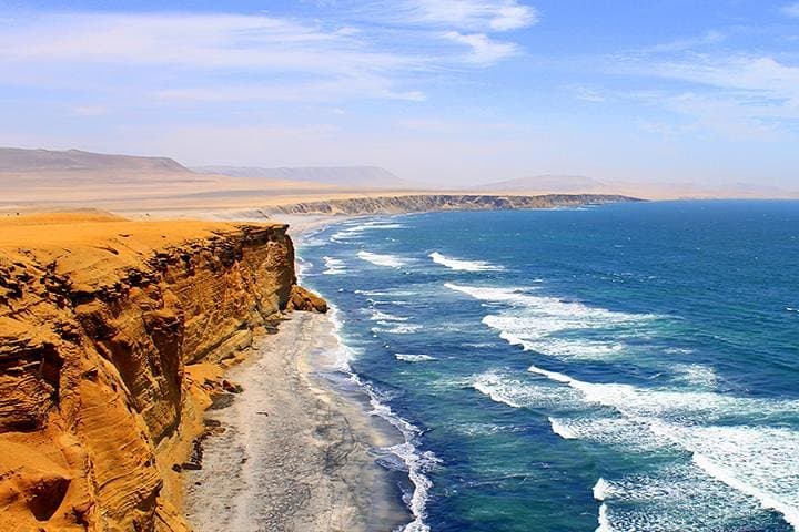 Paracas National Reserve Private Tour: Desert Cliffs, Coastal Wildlife & Local Fisheries photo 4