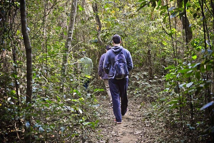 Half-Day Ecotour to Cantareira and Jaraguá State Parks from São Paulo photo 1