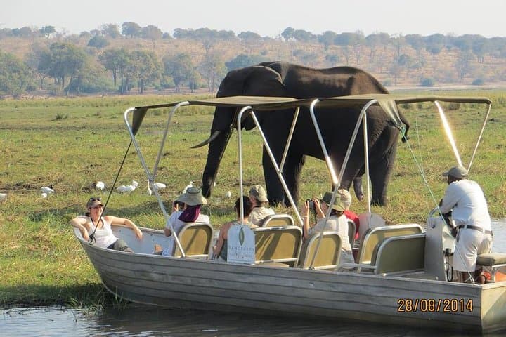 Chobe Day Trip from Victoria Falls — Chobe River Boat Cruise & Game Drive