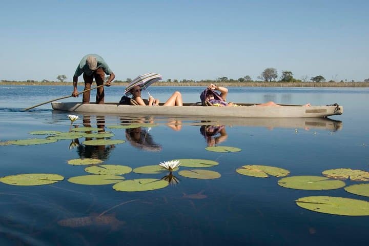 Victoria Falls to Okavango Delta: 8-Day Safari Through Chobe and Elephant Sands photo 1