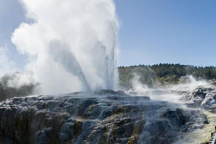 Luxury Day Tour: Hobbiton and Rotorua from Auckland photo 2