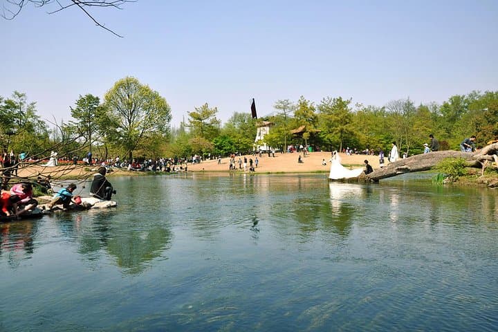 Hangzhou Highlights Day Trip from Shanghai: West Lake, Lingyin & Longjing Tea photo 2