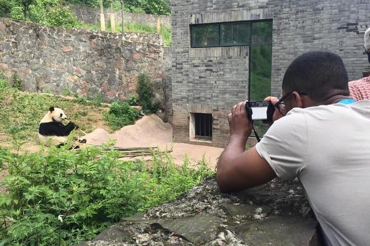 Chengdu Giant Panda Experience: Private Day Tour to Panda Base & Cultural Alleys