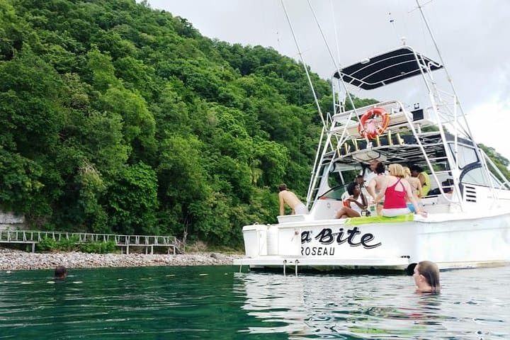 Waitukubuli Volcano Snorkeling: Swim the Champagne Reefs of Dominica photo 2
