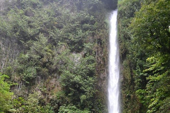 Middleham Falls Hike & Ti'tou Gorge Half-Day: Hike, Swim, and Waterfall Pools in Dominica