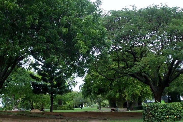 Roseau City Tour: Botanical Gardens, Morne Bruce & Trafalgar Falls photo 3