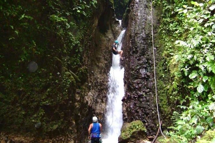 Canyoning Titou Gorge — Rappelling, Cliff Jumps & Jungle Waterways in Dominica
