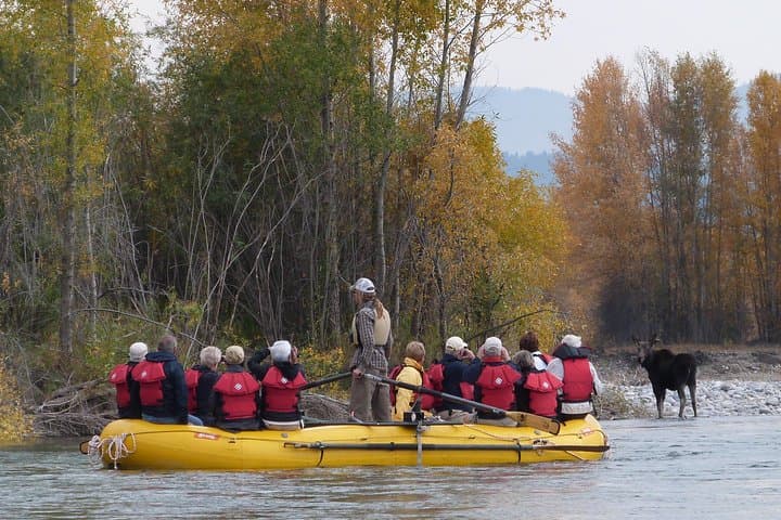 Snake River Scenic Float: Private Teton River Cruise & Wildlife Viewing photo 6