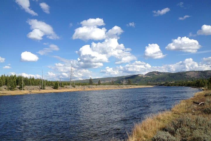 Yellowstone Full Day Wade Fishing Trip: Explore Iconic Rivers and Native Trout photo 3