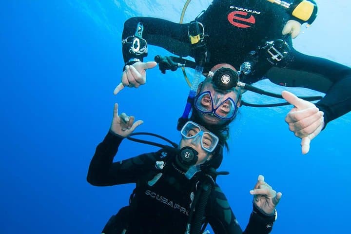 Two-Tank Certified Dives in St. Thomas: Reefs, Wrecks & Small-Group Boat Trips photo 4