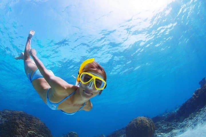 Guided Marine-Biologist Snorkel in Tenerife South — Spot Turtles & Rays photo 2