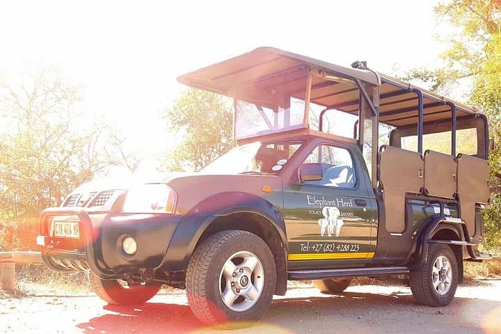 Kruger National Park Full-Day Safari from Hazyview — Big Five Wildlife Drive photo 1