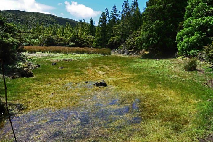 Mistérios Negros Hiking Trail: Half-Day Volcanic Hike in Terceira, Azores photo 2