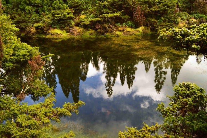 Mistérios Negros Hiking Trail: Half-Day Volcanic Hike in Terceira, Azores photo 3