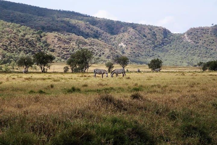 Mt Longonot Crater Hike: Private Day Trip from Nairobi