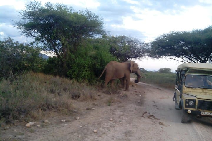 12-Day Kenya and Tanzania Budget Safari from Nairobi | Big Five & Great Migration