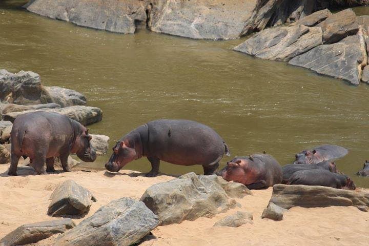 12-Day Kenya and Tanzania Budget Safari from Nairobi | Big Five & Great Migration photo 2