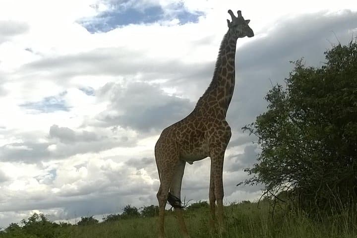 Private Bike Tour to Hell's Gate & Lake Naivasha from Nairobi photo 2