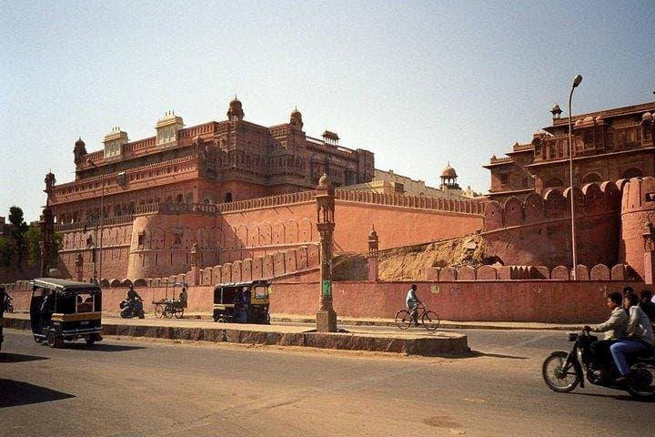Explore the National Camel Research Center: Bikaner's Camel Rides & Conservation Tour photo 2