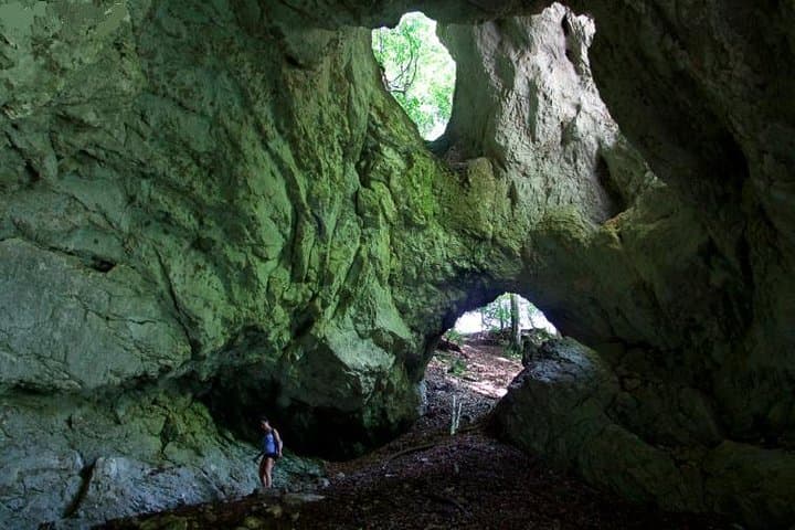 Discovery Trail: Private Half-Day Hike from Bled into Triglav National Park photo 2