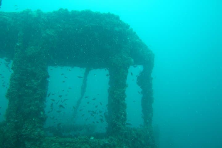 Phuket King Cruiser Wreck: 3-Dive Day Trip to Shark Point & Koh Doc Mai photo 4