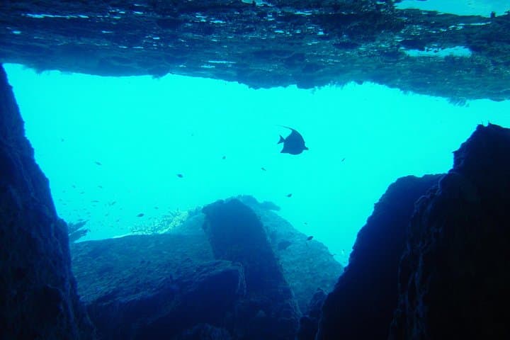 Full-Day Similan Islands Scuba Diving from Phuket — Two-Tank Guided Trip