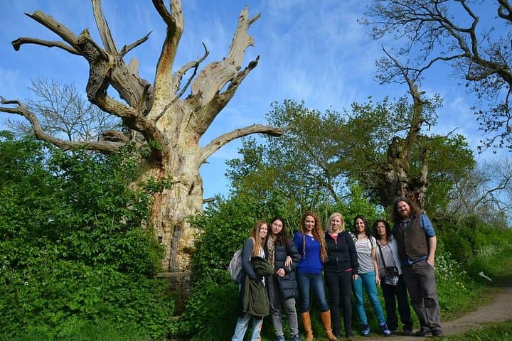 Eight-Day Sacred England Tour: Glastonbury, Stonehenge & Tintagel