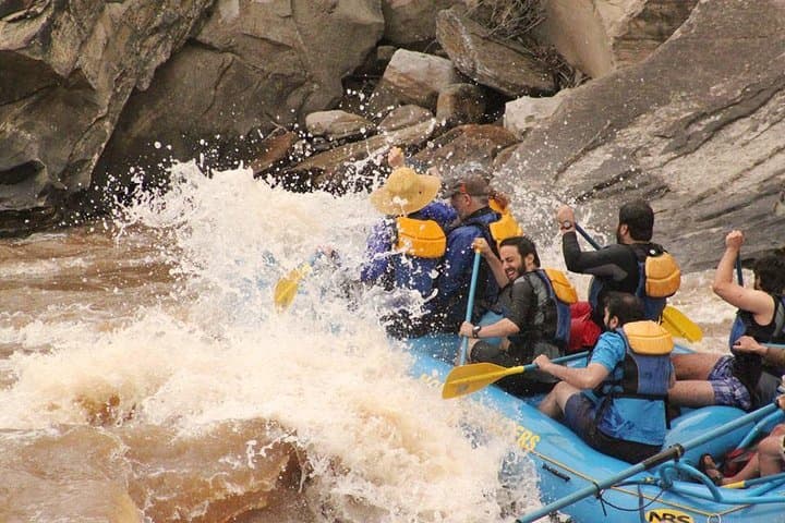 Durango Rafting: Quarter-Day Family-Friendly Animas River Trip