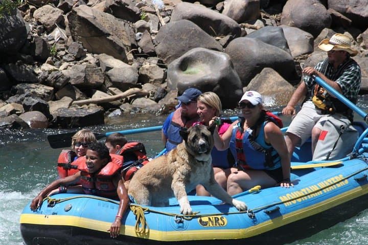 Durango Rafting: Quarter-Day Family-Friendly Animas River Trip photo 2