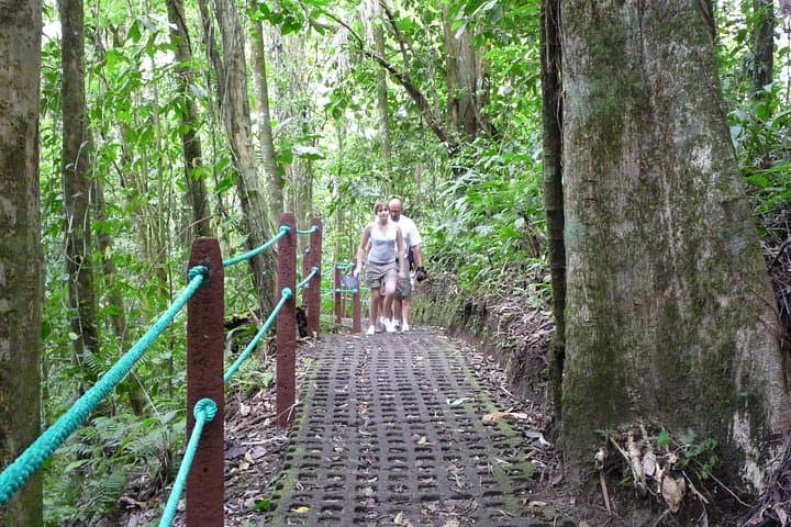 Arenal Combo: Hanging Bridges, La Fortuna Waterfall, Volcano Hike & Hot Springs photo 3