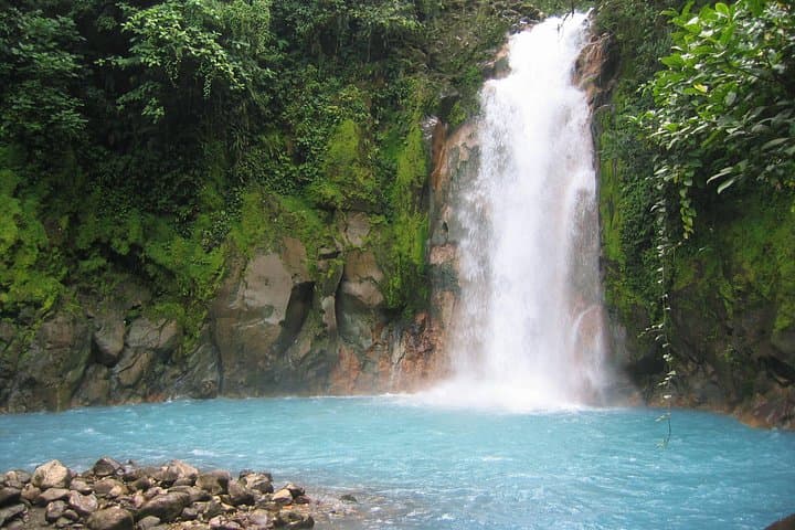 Rio Celeste Nature Hike from Guanacaste — Tenorio National Park Blue River Trek photo 3