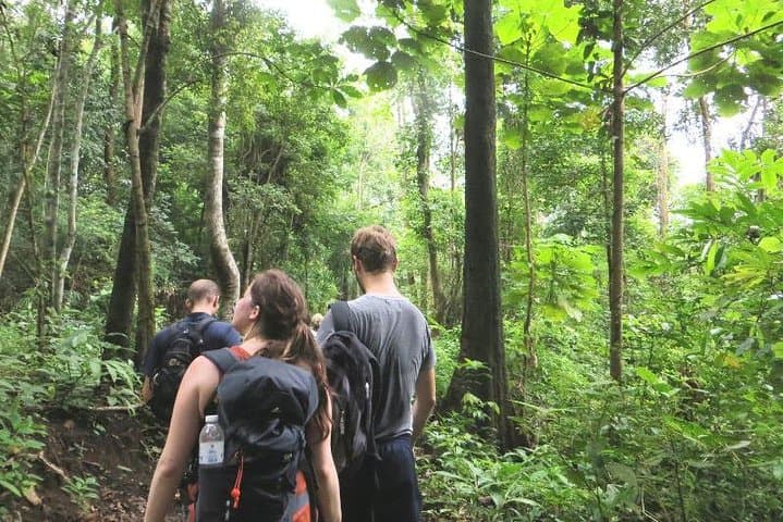 3-Day Chiang Dao Mountain Trek: Ridge Hike, Hill-Tribe Homestays & Mae Taeng Valley photo 4