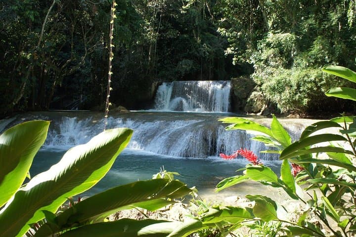 Private South Coast Adventure to YS Falls: Waterfalls, Zipline & Natural Pools from Negril photo 3
